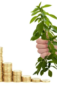 Islamic_Finance